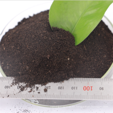 Precio de mercado GB20287 fertilizante orgánico de singapur